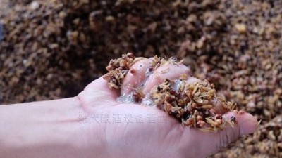 用小型燒酒設(shè)備蒸酒時，酒醅含水量也會影響白酒口感和出酒率？