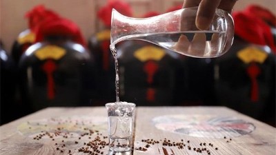 為什么有錢人也開(kāi)始喝熟料釀酒設(shè)備釀造的散裝純糧酒了