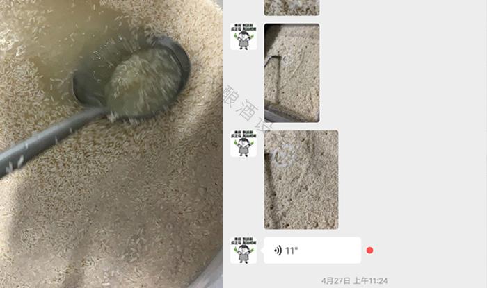 受疫情影響不讓養(yǎng)蛇，用電加熱釀酒設(shè)備做酒迎來新未來！ 3