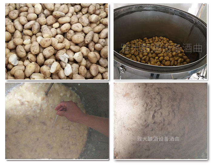 10.21土豆釀酒技術(shù) 10.21土豆釀酒技術(shù)