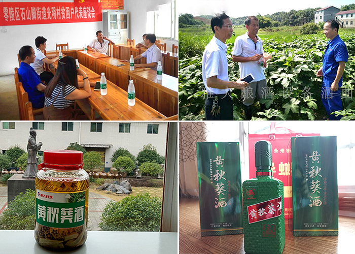 圖片15 圖片15