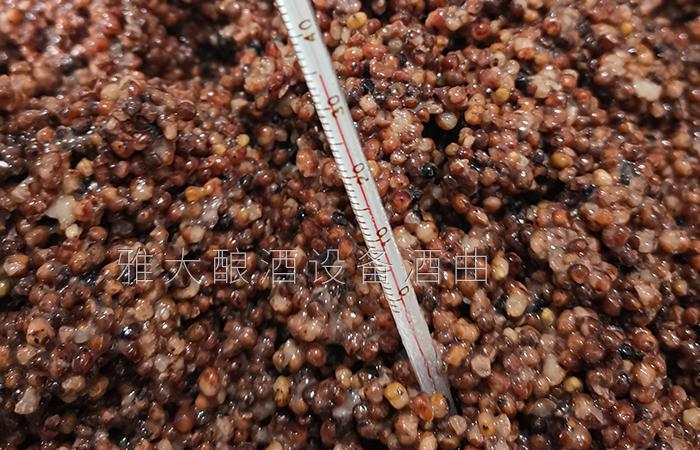 25℃-28℃活性更強、出酒率更高