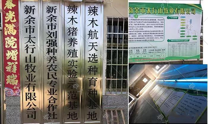 914釀酒+養(yǎng)殖相結(jié)合 914釀酒+養(yǎng)殖相結(jié)合