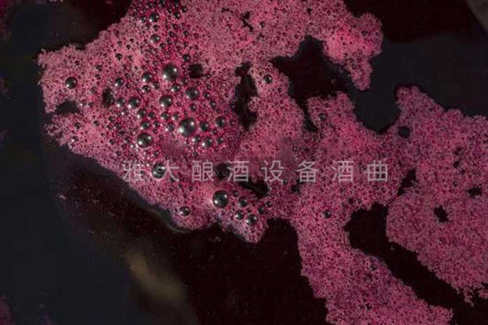 8.16發(fā)酵好的葡萄酒 8.16發(fā)酵好的葡萄酒