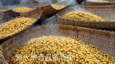 看過來，用玉米釀酒設備制作整料玉米酒的標準教程在這里！