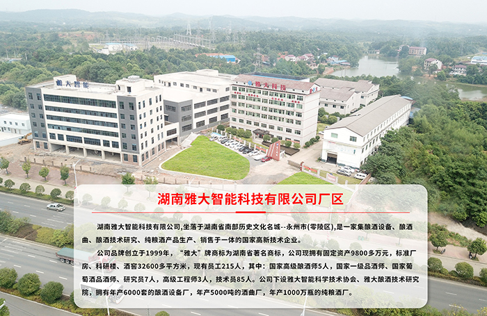 8.8雅大公司全貌 8.8雅大公司全貌