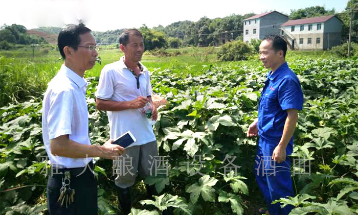 7.23胡總到農(nóng)戶家了解秋葵長勢 7.23胡總到農(nóng)戶家了解秋葵長勢