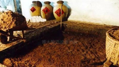 用高粱釀酒設(shè)備做濃香型白酒，酒好全憑窖池老！