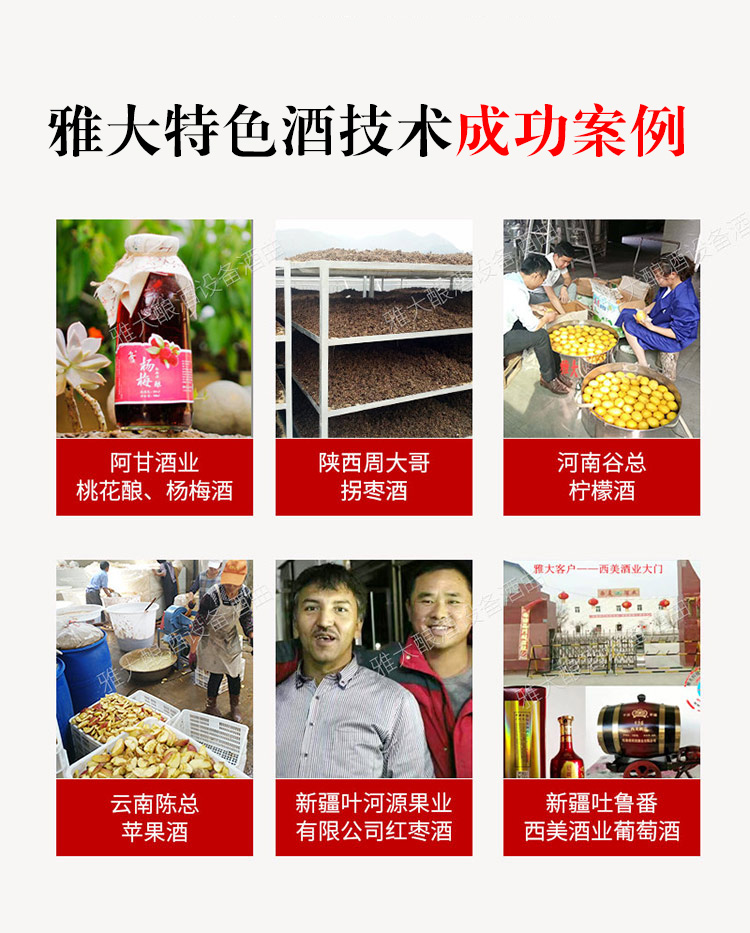 雅大特色酒技術(shù)成功案例 3 雅大特色酒技術(shù)成功案例 3