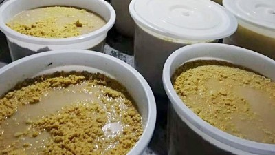 玉米熟料液態(tài)酒怎么做？小型酒廠釀酒設(shè)備玉米液態(tài)釀酒技術(shù)