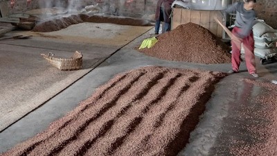 咱家不差錢，你又一把年紀(jì)了，何必堅(jiān)持用中型釀酒設(shè)備做酒？