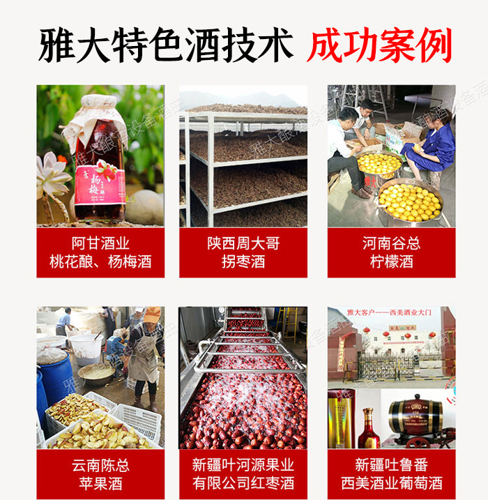 特色酒成功案例 特色酒成功案例