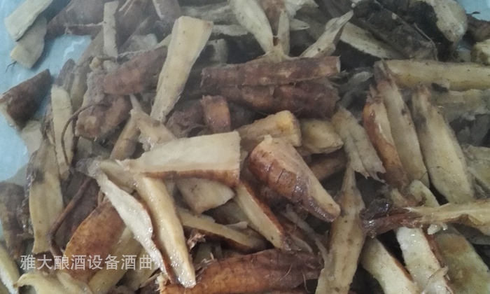 10.9雅大現(xiàn)場(chǎng)教學(xué)員做葛根酒 10.9雅大現(xiàn)場(chǎng)教學(xué)員做葛根酒