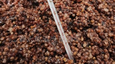 用燒酒設(shè)備在家開(kāi)個(gè)酒坊，嚴(yán)把質(zhì)量關(guān)才是核心！