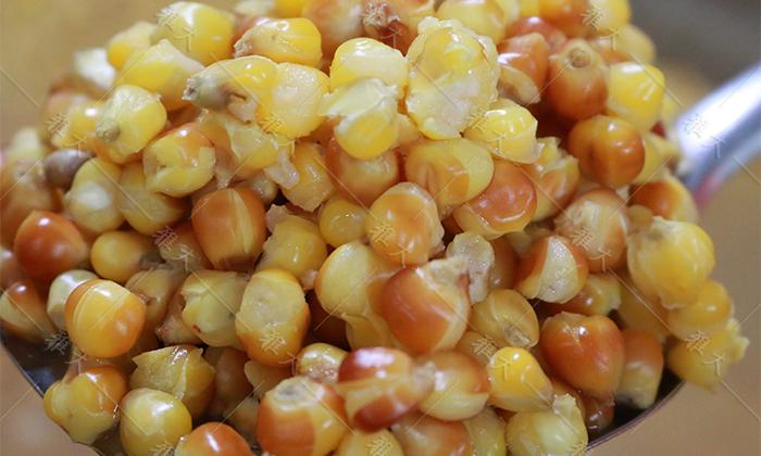 玉米蒸至開花率95%以上，外干內(nèi)軟