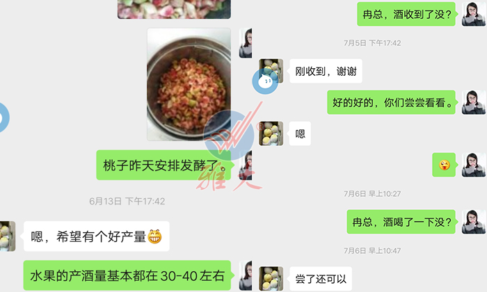 10.28雅大幫忙研發(fā)的黃桃酒，冉總品嘗后很滿意