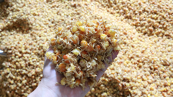 驚！夏季用白酒蒸餾設(shè)備做固態(tài)酒時加入輔料作用這么大！