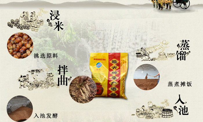 10.24傳統(tǒng)釀酒與酒曲的關(guān)系 10.24傳統(tǒng)釀酒與酒曲的關(guān)系