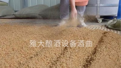 小麥酒怎么做？用燒酒設備釀造古老的小麥配糟固態(tài)酒！
