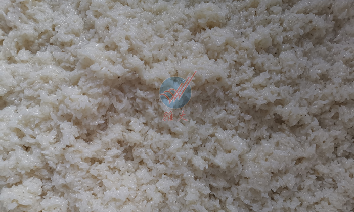 5淋飯完成 5淋飯完成