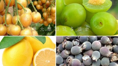 藏在果園里的果酒釀酒設(shè)備酒坊，生意卻依然火爆！