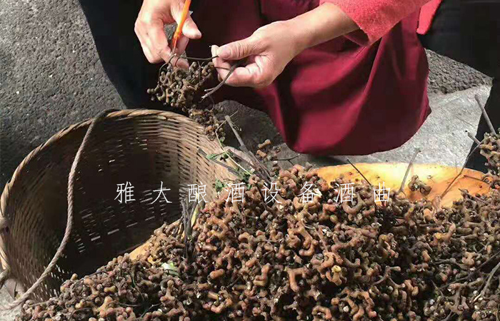 10.11拐棗釀酒技術(shù)-原料處理 10.11拐棗釀酒技術(shù)-原料處理
