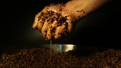 傳統(tǒng)老酒坊得不到傳承怎么辦？試試這款小型酒廠釀酒設(shè)備
