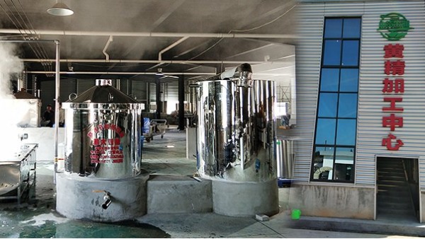 引進生物顆粒釀酒設備釀黃精酒，安化黃精化作產(chǎn)業(yè)“黃金”